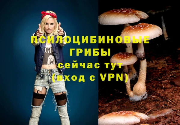 Альфа ПВП Бородино