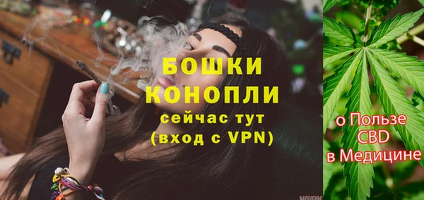 прущий лед Богданович