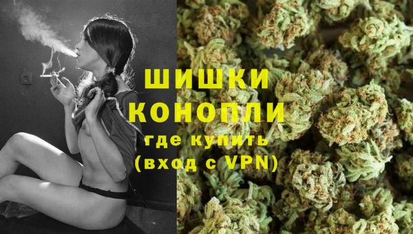 стаф Бронницы